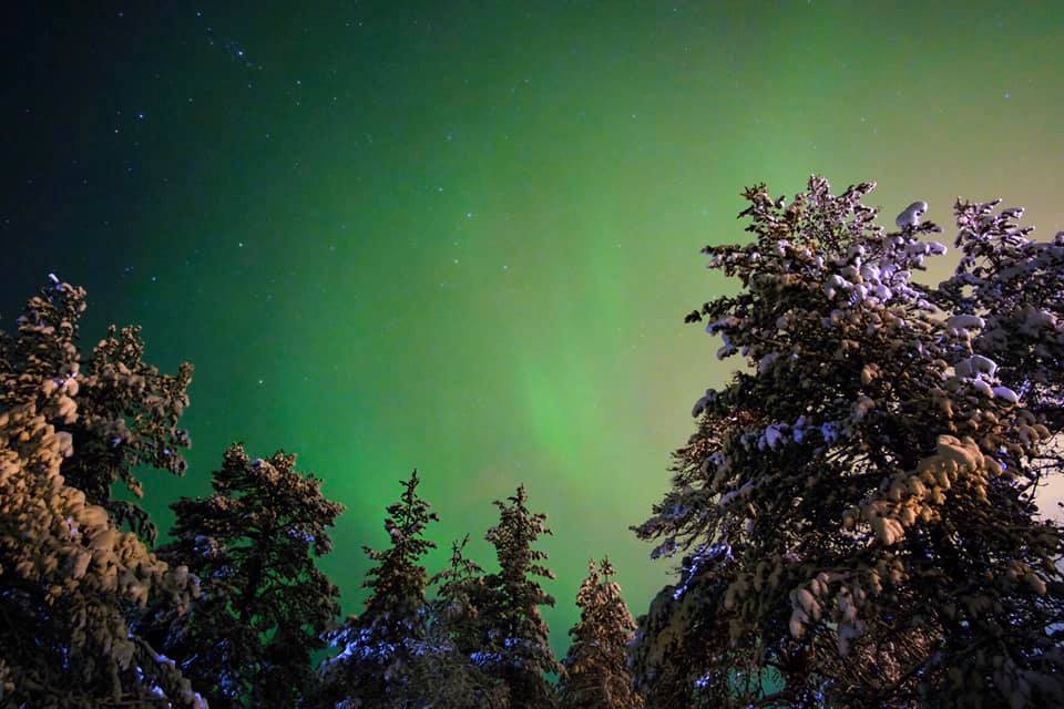 Žalio dangaus paunksmėje